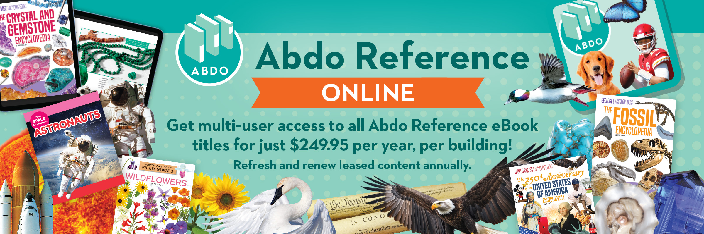 HomeSlider-7-AbdoReferenceOnline-26a